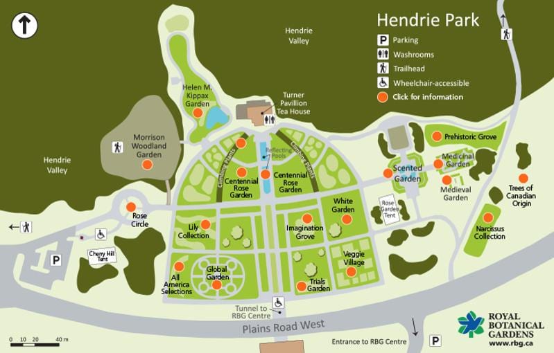 Зураг RBG Hendrie Парк