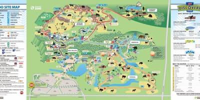 Зураг Торонто zoo