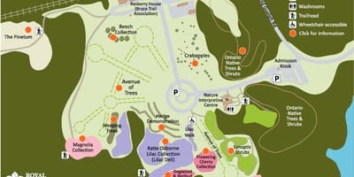 Зураг RBG Arboretum